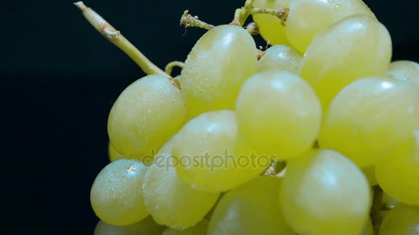 Uvas brancas em um tiro macro — Vídeo de Stock