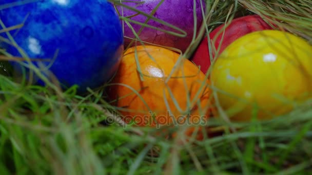 Sürgülü üzerinde bir yuva yumurta ile-yakın çekim yukarı — Stok video