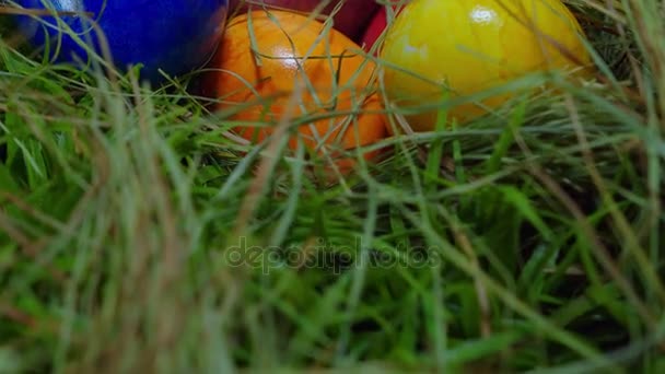 Œufs de Pâques colorés dans un nid