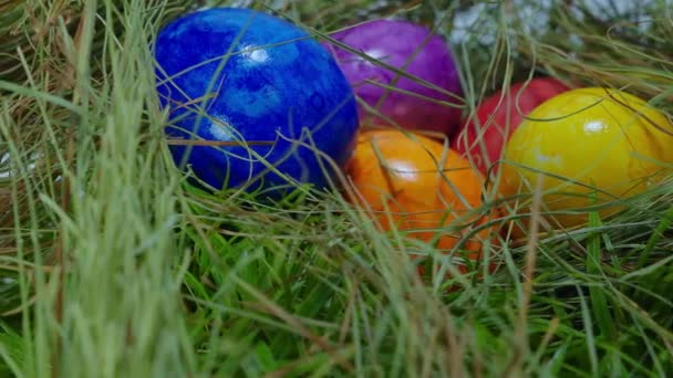 Joyeuses Pâques Oeufs de Pâques colorés dans l'herbe 