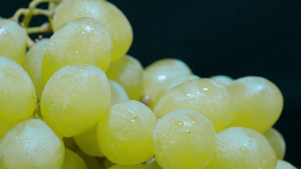 Raisins blancs sur une macro shot — Video