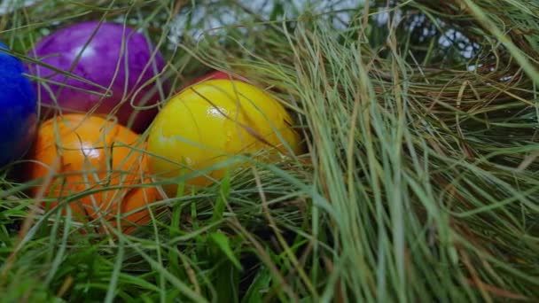 Glisser sur un nid avec des œufs de Pâques - gros plan 