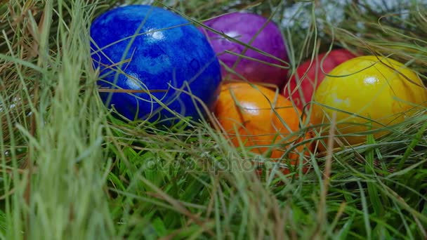 Trouvé dans l'herbe - un nid avec des œufs de Pâques 