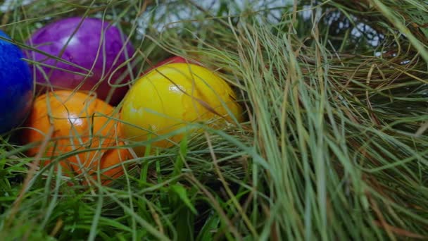 Trouvé dans l'herbe - un nid avec des œufs de Pâques 