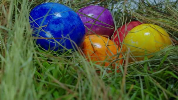 Deslizamiento sobre un nido con huevos de Pascua - tiro de cerca — Vídeos de Stock