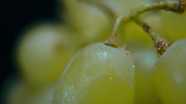 Ekstremalnych bliska strzał świeże winogrona z rynku — Wideo stockowe