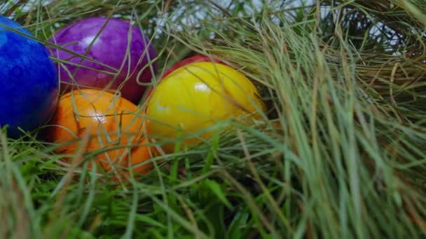Barevná velikonoční vajíčka v hnízdě