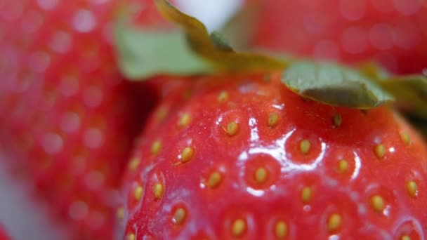 Jordgubbar i ett makro skott med sakta flyttar kameran — Stockvideo