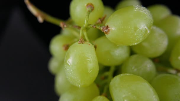 Un racimo de uvas en un primer plano — Vídeo de stock