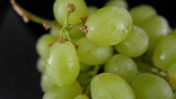 Un grappolo d'uva in un primo piano — Video Stock