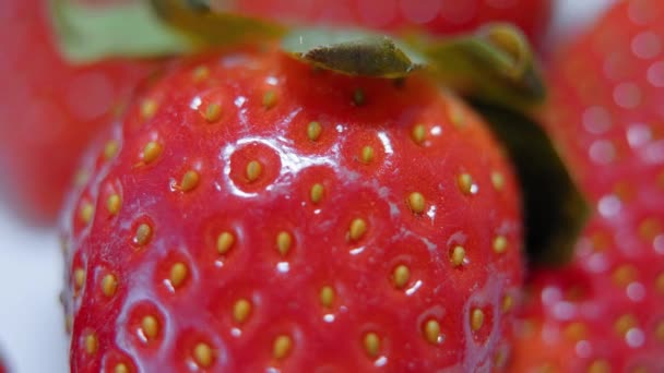 Increíble primer plano de fresas frescas — Vídeo de stock