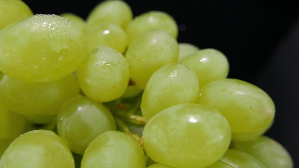 Camera slides over a bunch of grapes — Stock Video