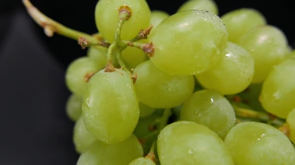 Un racimo de uvas en un primer plano — Vídeo de stock