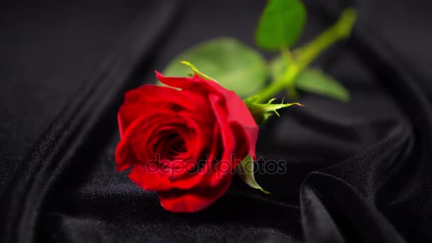 一朵红玫瑰-美丽背景的精彩镜头 — 图库视频影像