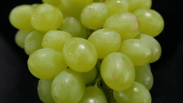 Un racimo de uvas en un primer plano — Vídeo de stock