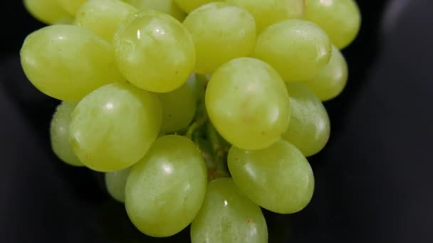 A bunch of grapes in a close up shot — Stock Video