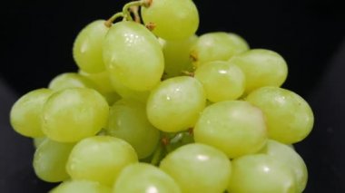 Bir avuç üzüm bir yakın çekim yukarı