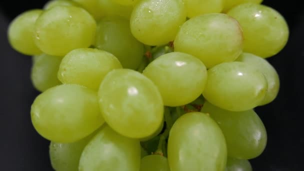 Verse druiven in een macro bekijken — Stockvideo