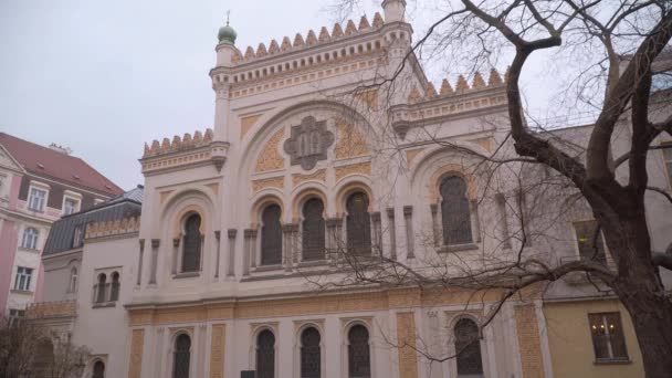 Praag Tsjechische Republiek Maart 2017 Prachtige Gebouwen Praag Stad — Stockvideo