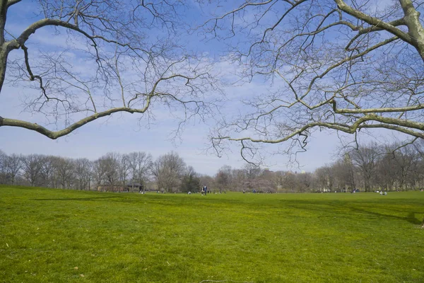 Prados e campos no Central Park em Nova Iorque- MANHATTAN - NOVA IORQUE - 1 de abril de 2017 — Fotografia de Stock