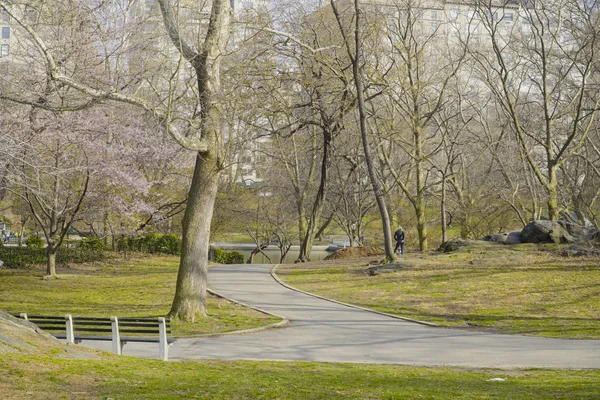 Wunderschöner zentraler park new york - wunderbarer ort zum entspannen- manhattan - new york - 1. april 2017 — Stockfoto