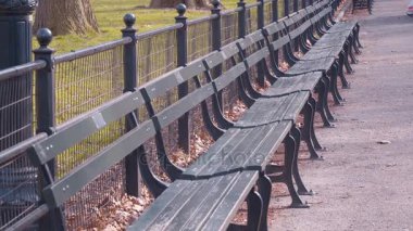 Central Park 'taki banklar New York - dinlenmek için güzel bir yer