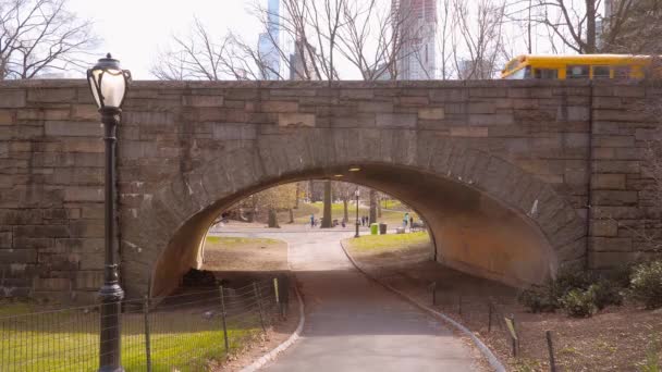 Beautiful Central Park in New York — Stock Video