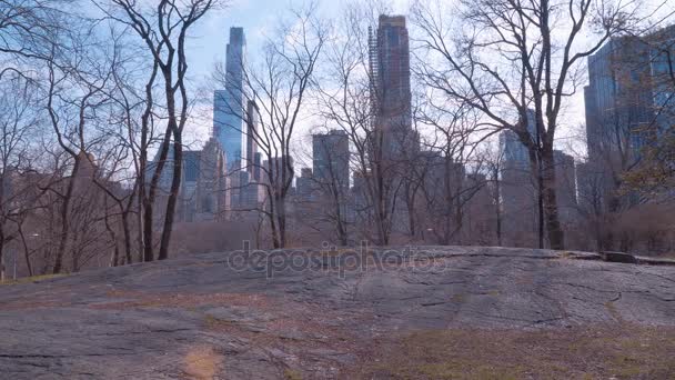 Blick vom Central Park auf die Wolkenkratzer von Manhattan — Stockvideo