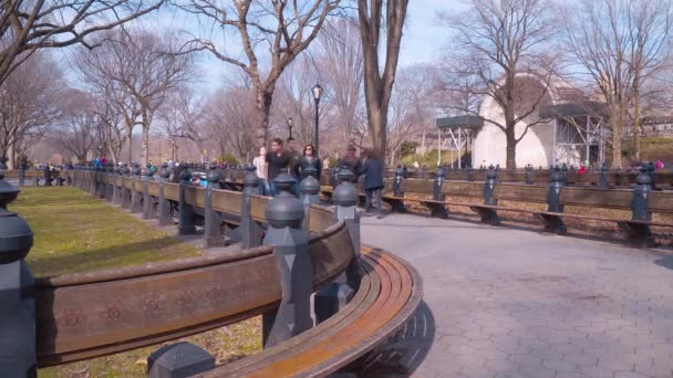 Bancos en Central Park Nueva York - hermoso lugar para relajarse — Vídeo de stock