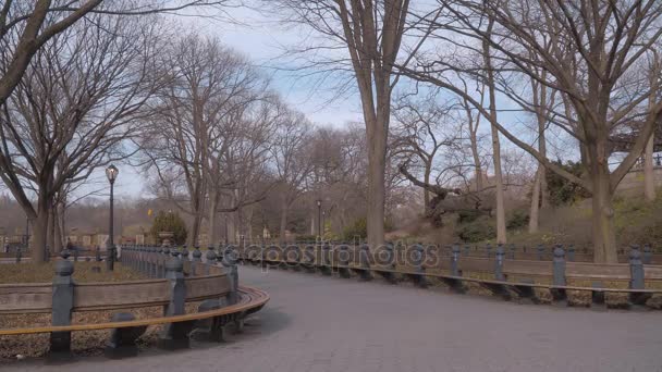 ニューヨークの美しい中央公園 — ストック動画