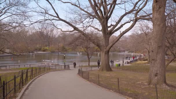 Beautiful Central Park in New York — Stock Video