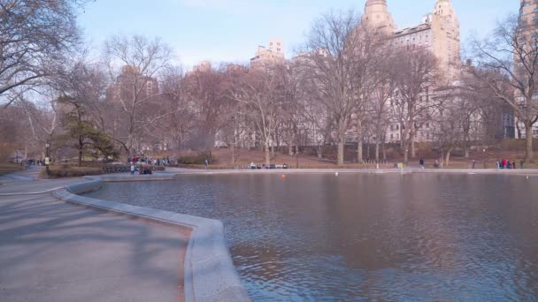 Schöner Teich im Central Park New York — Stockvideo