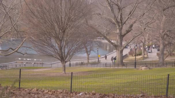 Hermoso Central Park en Nueva York — Vídeo de stock