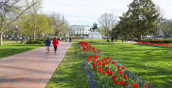 Schöner lafayette square in washington an einem sonnigen tag - washington dc - columbia - 7. april 2017 — Stockfoto