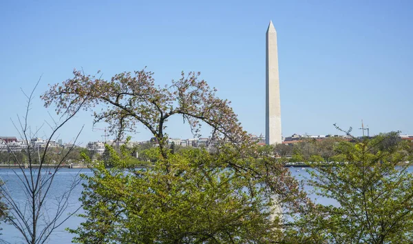 Il famoso monumento di Washington - bella vista - WASHINGTON DC - COLUMBIA - 7 APRILE 2017 — Foto Stock