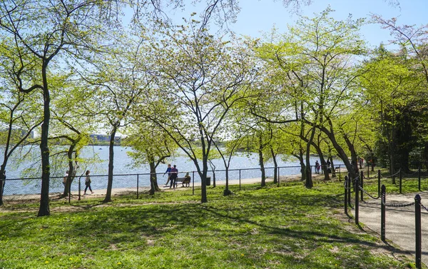 Der wunderschöne park rund um washington - washington dc - columbia - 7. april 2017 — Stockfoto