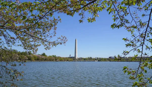 Memorial de Washington - vista da Bacia Tidal - WASHINGTON DC - COLUMBIA - 7 de abril de 2017 — Fotografia de Stock