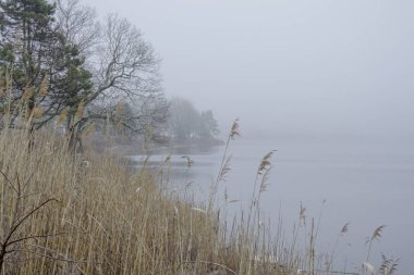 Mystic River sisli bir günde