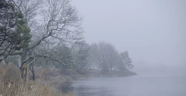 Pequeño lago romántico o río en la niebla —  Fotos de Stock