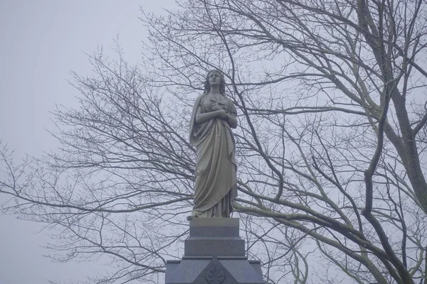 Estátua de um anjo de pedra na névoa — Fotografia de Stock