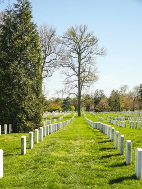 Washington - Washington, District Of Columbia - 8 Nisan 2017 ünlü Arlington mezarlığı