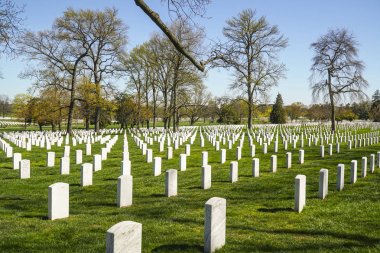 Washington - Washington, District Of Columbia - 8 Nisan 2017 Arlington mezarlığında beyaz mezar taşları