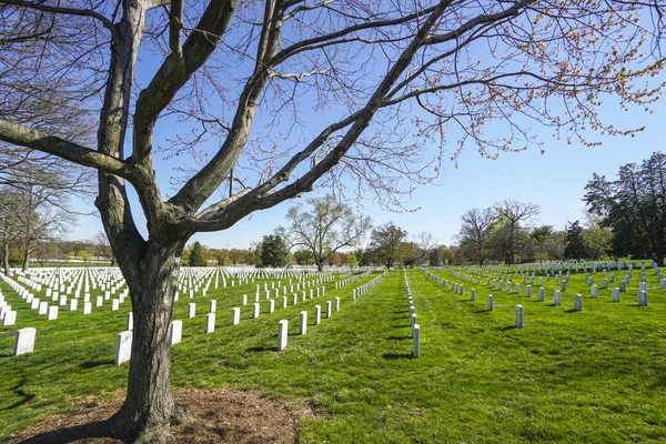 Słynny cmentarz w Arlington w Washington - Waszyngton, Dystrykt Kolumbii - 8 kwietnia 2017 r. — Zdjęcie stockowe