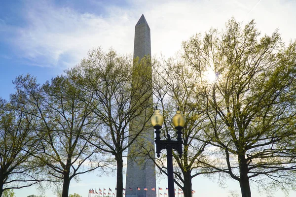 Monumento di Washington nella retroilluminazione - WASHINGTON, DISTRICT OF COLUMBIA - 8 APRILE 2017 — Foto Stock