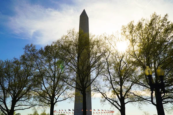 Monumento di Washington nella retroilluminazione - WASHINGTON, DISTRICT OF COLUMBIA - 8 APRILE 2017 — Foto Stock
