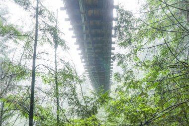 Capilano Asma Köprüsü sis - Vancouver - Kanada - 12 Nisan 2017