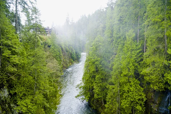 Ruisseau dans les bois canadiens — Photo