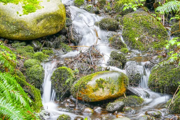 Mooie creek tussen mossy stenen — Stockfoto