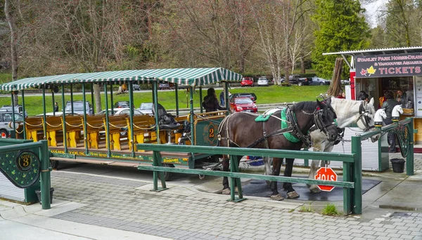 Carrello trainato da cavalli a Stanley Park Vancouver - VANCOUVER - CANADA - 12 APRILE 2017 — Foto Stock