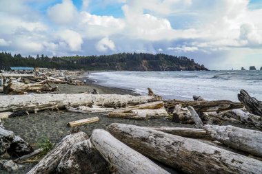 Korku veren La Push plaj Washington - çatal - Washington